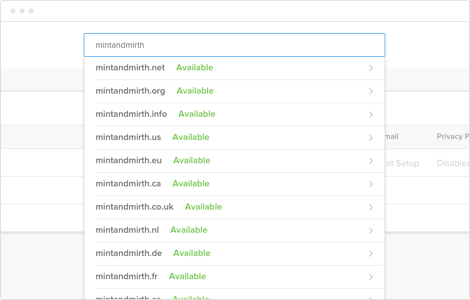 Domain Name Search