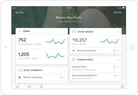 Ebsite Stats Now Available On Weebly For Ipad